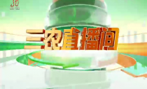 《三农直播间》20241209