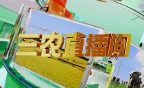 《三农直播间》20241220
